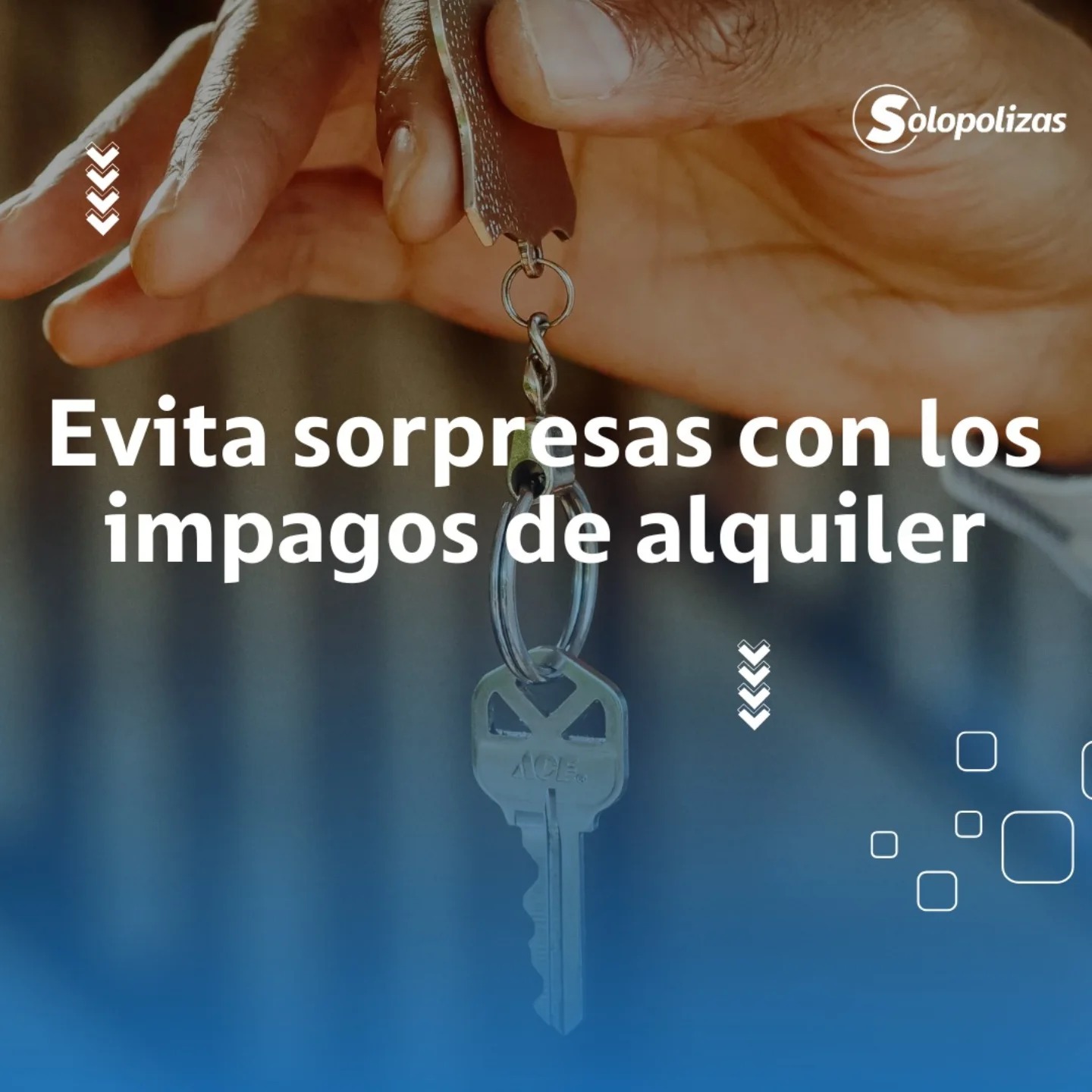 Aseguradora para contratar seguro de vida: profesional o total